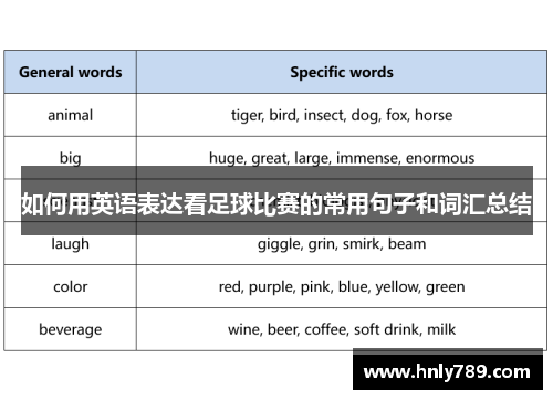 如何用英语表达看足球比赛的常用句子和词汇总结