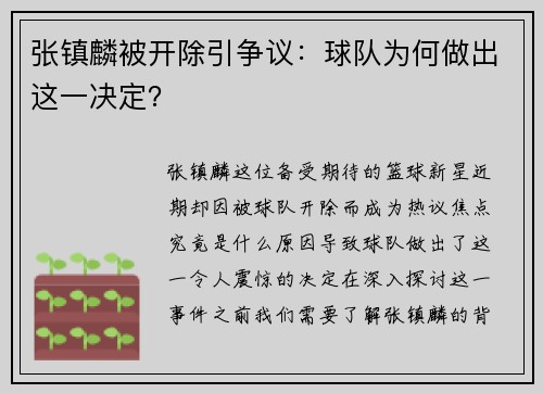 张镇麟被开除引争议：球队为何做出这一决定？